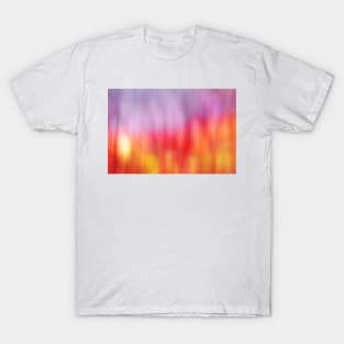 A New Day Dawning (impressionism) T-Shirt